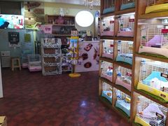-宠物兔专门店(天丰利市场店)