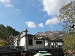 -老张烤羊(王哥庄店)