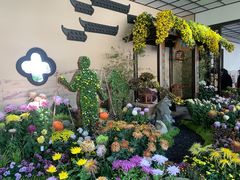 -杭州植物园