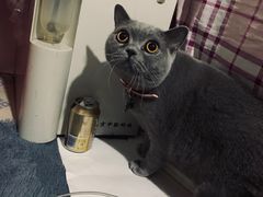 -东方之珠洗浴休闲广场(和平店)