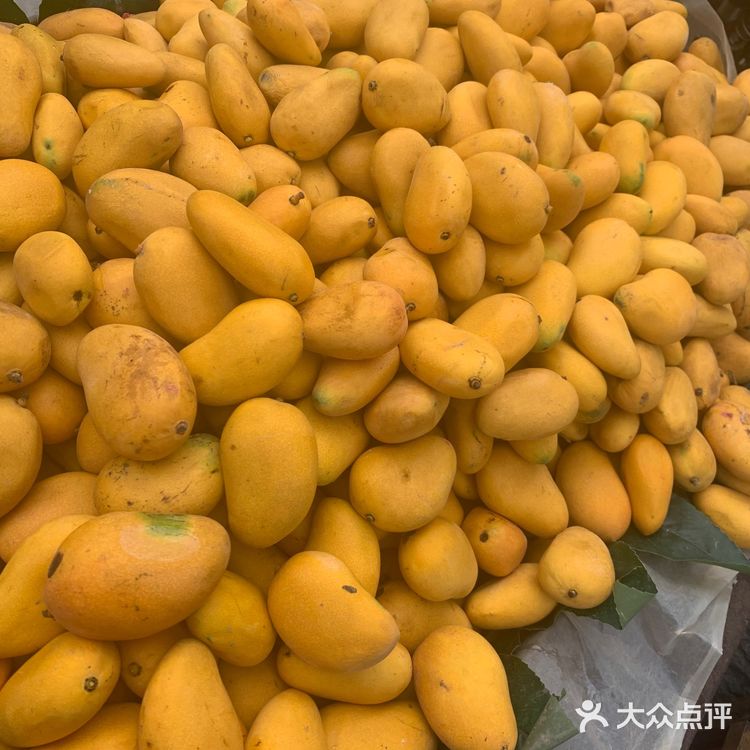 大理古城北门农贸市场