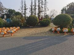 -上海长兴岛郊野公园