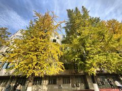 -四川大学(华西校区)