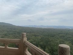 -灵谷景区