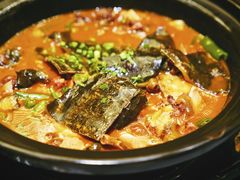 红焖中华鳖-许家菜(望江店)
