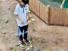 -杭州开元森泊度假乐园