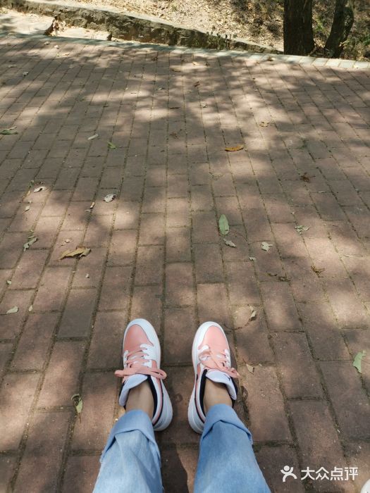 九真山风景区图片