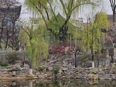 -文瀛公园