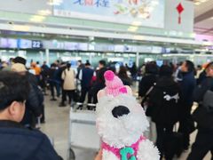 -常州奔牛国际机场