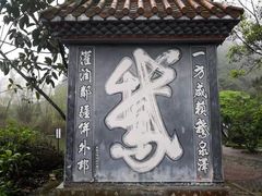 -靖西鹅泉风景区