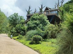 -杭州开元森泊度假乐园