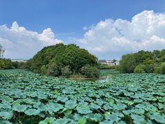 -芜湖方特东方神画