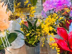 -双季花艺园艺市场(浦东店)