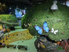 -萌宠奇缘(荣鼎店)