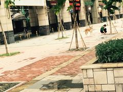 -银记肠粉(文昌北路店)
