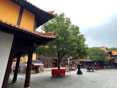 -亭林园-华藏寺