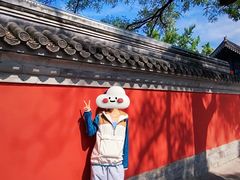 -北京国子监胡同