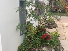 -南山植物园
