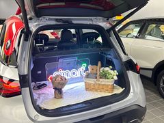-上海浦东smart汽车全功能店(金桥店)