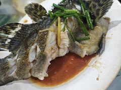 -四姑娘川味海鲜(八爪鱼店)