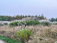 -良渚古城遗址公园