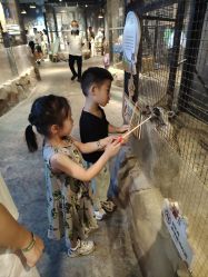 -酷嗒动物文化乐园(cutezoo西溪乐天城店)