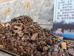 -小赖鱼馆