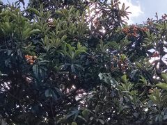 -三塔倒影公园