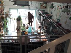 -Kitchen·Y洋厨房西餐厅(王府壹号店)