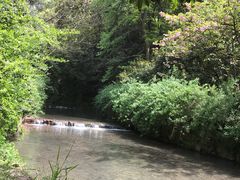 -百泉山景区餐厅