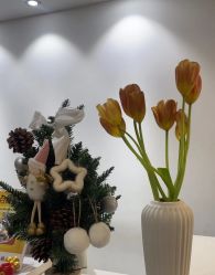 点击看大图 -春田皮肤管理中心品牌旗舰店