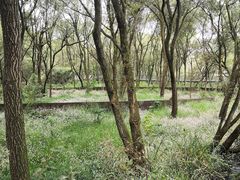 -西湖风景区-江洋畈生态公园