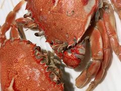 -要得自助火锅(新川路店)