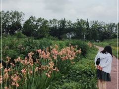 -桤木河湿地公园