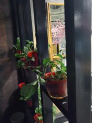 -时尚殿堂明星门店