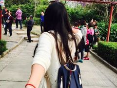 -嘉定紫藤园