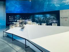 -北京周口店北京人遗址博物馆
