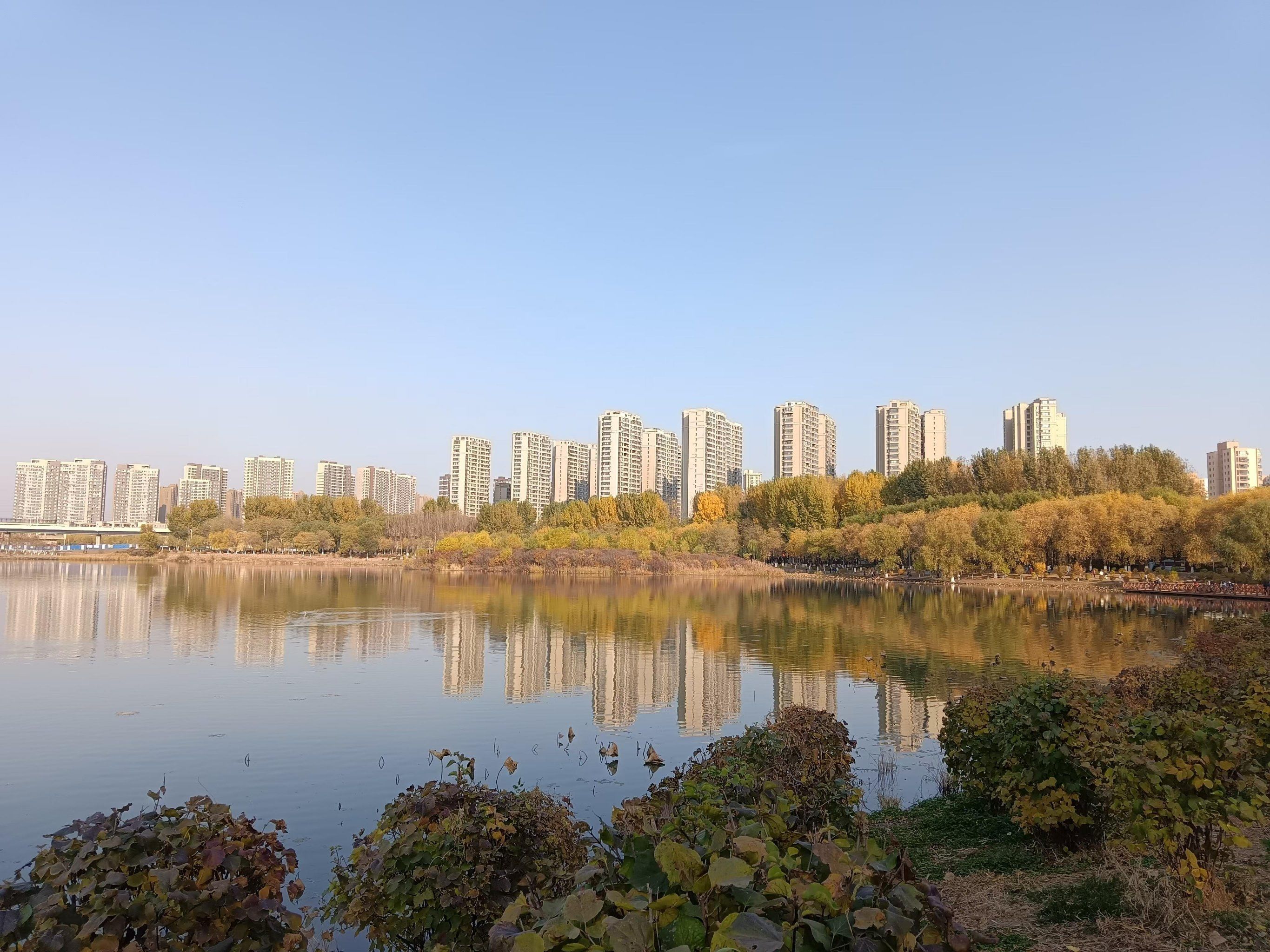 丁香湖的高光时刻