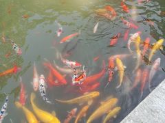 -南京东郊国宾馆