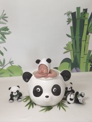 -DeerFriend童趣主题上门拍·到家·外拍摄影机构 (国贸店)