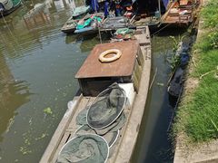 -溱湖国家湿地公园