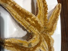 -蚝堡海鲜·威海菜·海肠捞饭·烧烤·亚洲吃蚝公司(幸福门店)