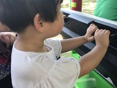 -合肥滨湖国家森林公园