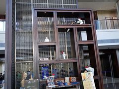 -舟山希尔顿酒店