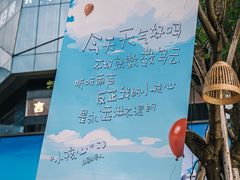 -龙湖重庆时代天街