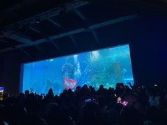 -哈尔滨波塞冬海底世界