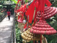 -呀诺达热带雨林