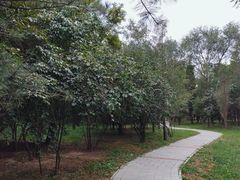 -森林公园(尖草坪区)