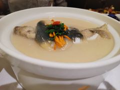 东坡河豚-肆月河豚·新淮扬(金融街店)
