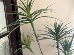-Lazy Time Massage南亚按摩小馆(大悦城店)